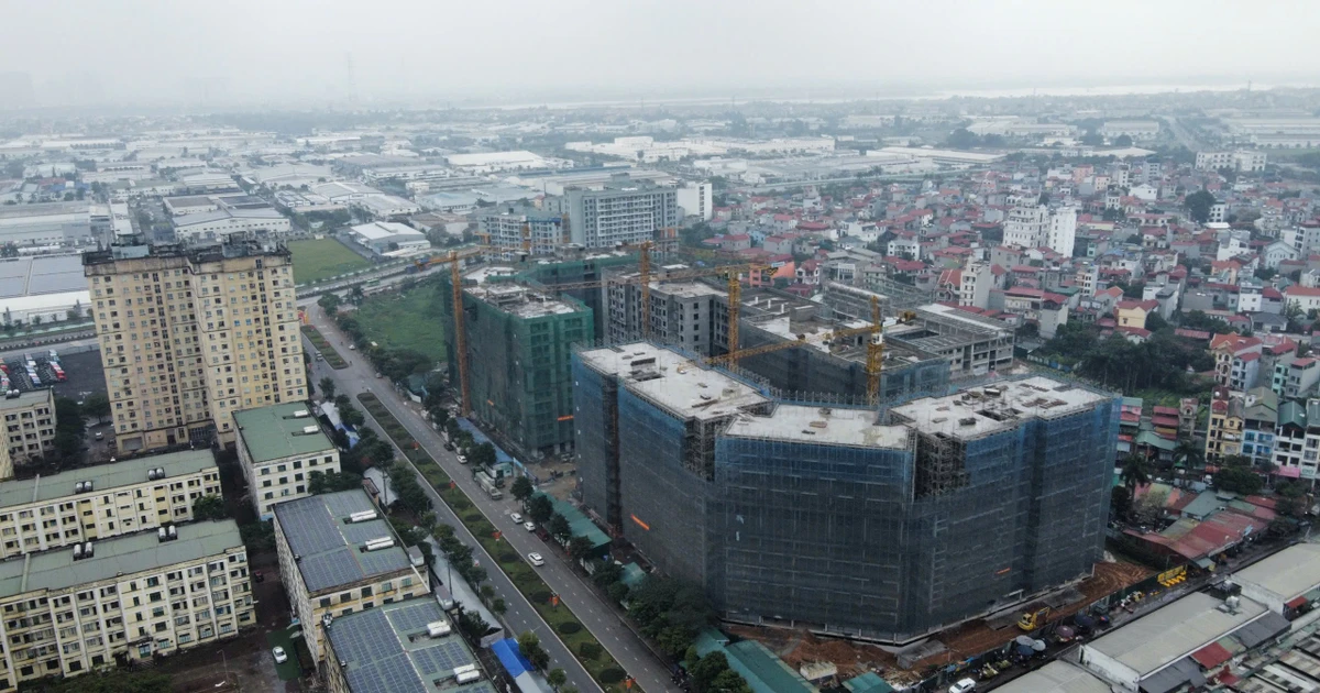 Xôn xao dân ở 'khu nhà giàu' bốc thăm giành suất mua NƠXH tại Hà Nội