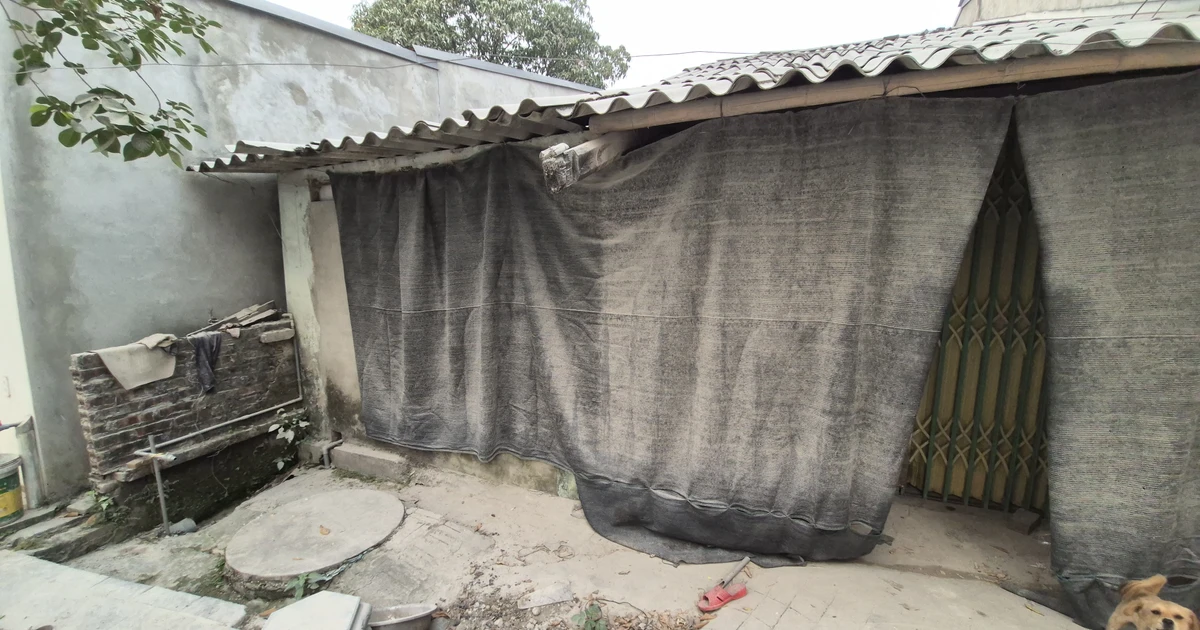 Khu dân cư ở Lào Cai quanh năm bị 'tra tấn' bởi bụi trắng mù mịt