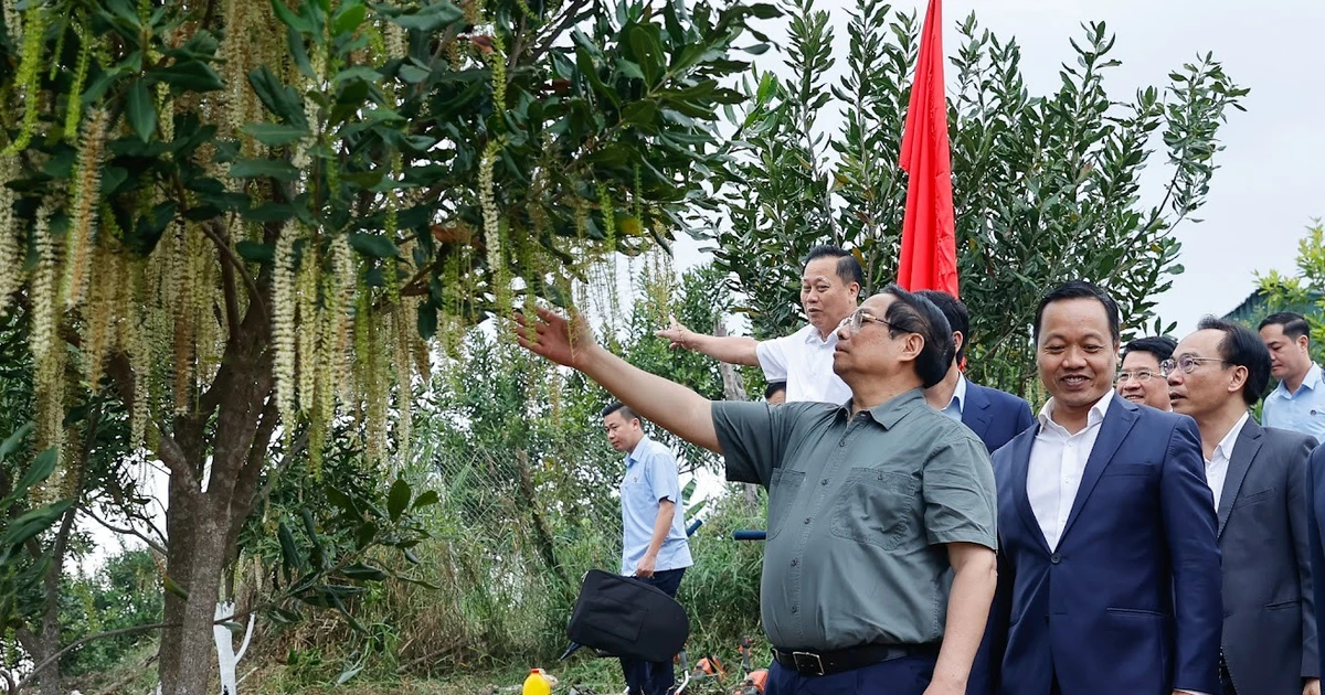 Thủ tướng Phạm Minh Chính thăm và làm việc tại Điện Biên
