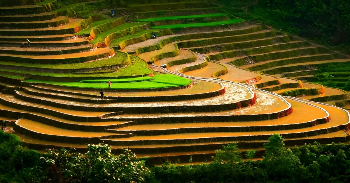 Ngắm ruộng bậc thang Tả Van mùa nước đổ