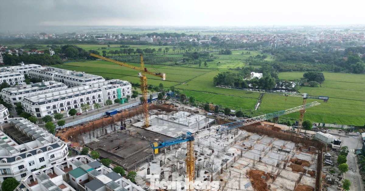 Tỷ phú Hồ Hùng Anh nói về kiểm soát rủi ro bất động sản