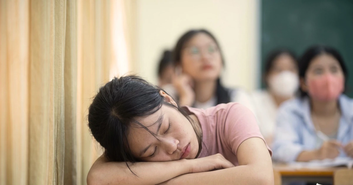 Tại sao có những sinh viên chọn cách sống như ‘bóng ma’ trong các trường đại học?