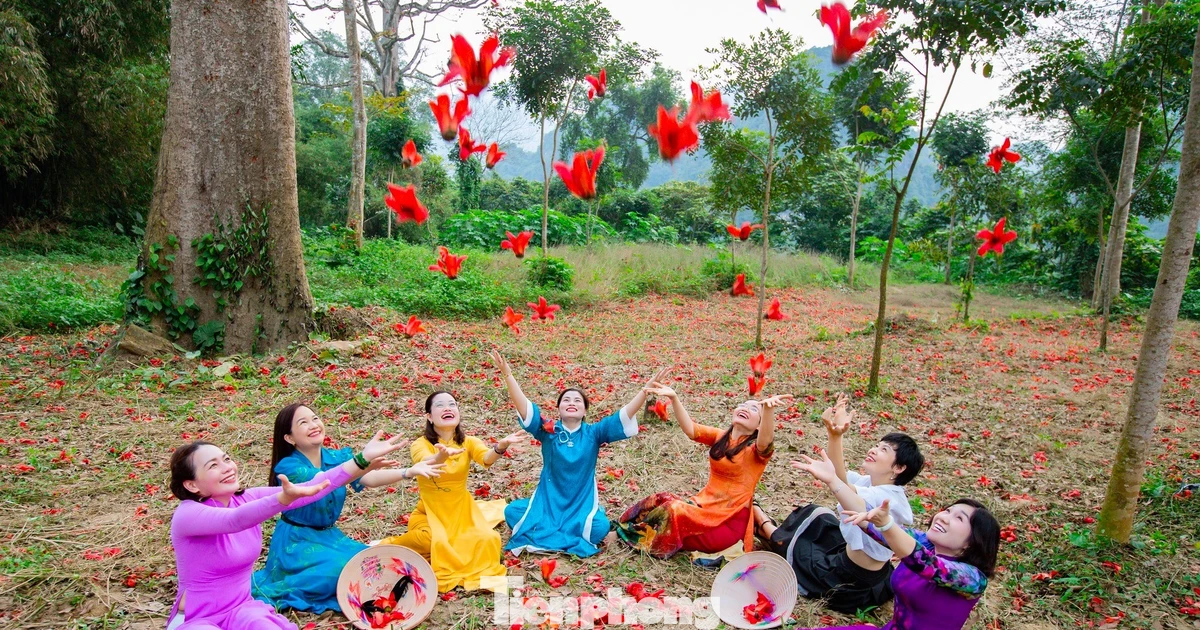 Loài hoa như đốm lửa nhỏ đẹp nao lòng ven sông Lam