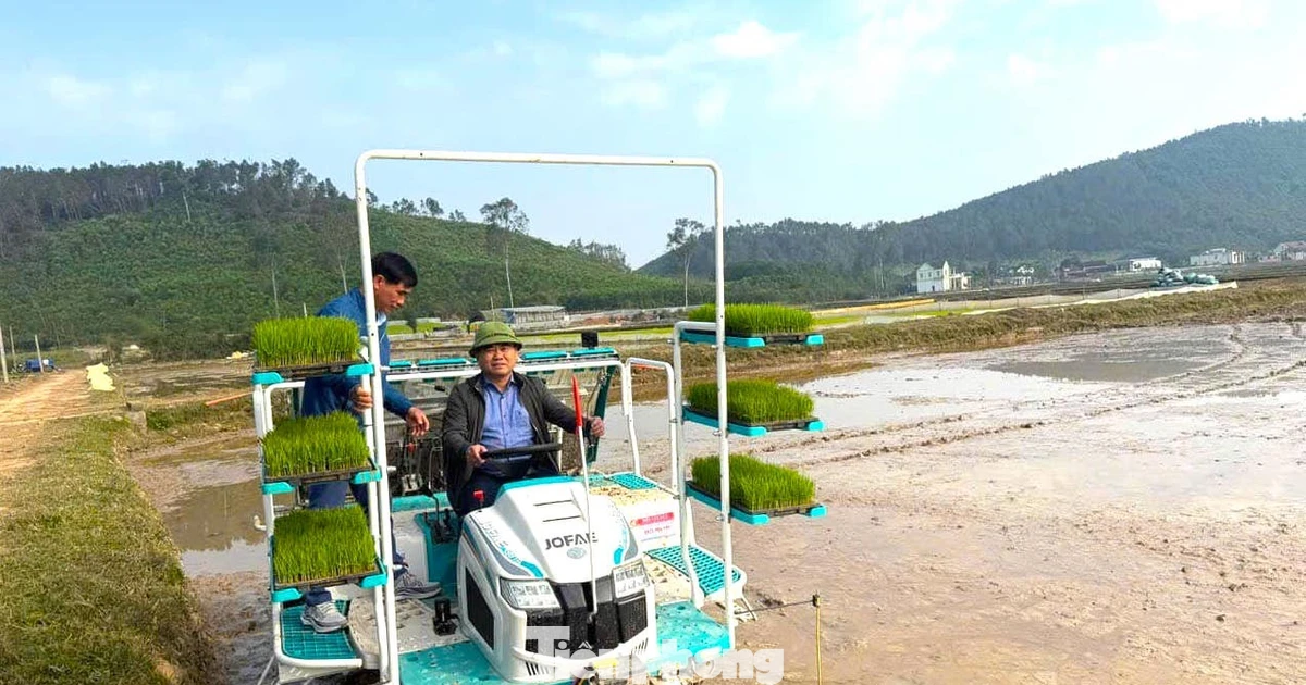 Đầu tư tiền tỷ làm mạ khay hiện đại, anh nông dân ở Nghệ An 'đắt sô' vụ cấy lúa