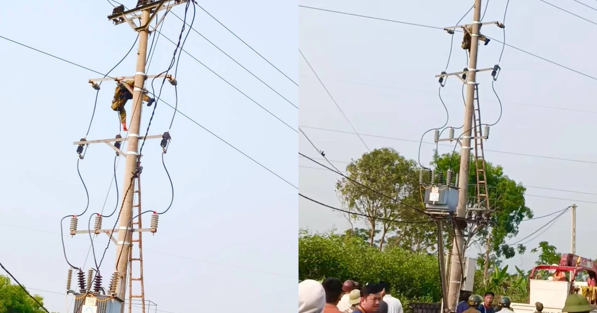 Trèo lên cột điện bắt chim, nam thanh niên bị giật tử vong