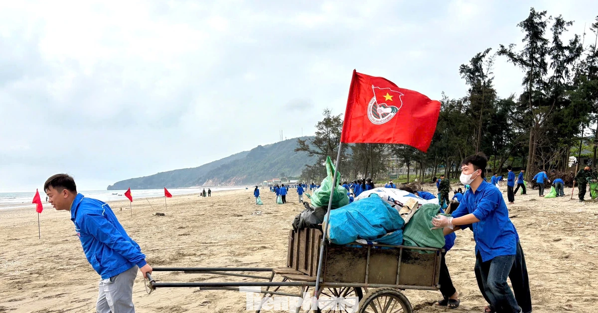 Tuổi trẻ Nghệ An phủ xanh bãi biển, làm sạch môi trường