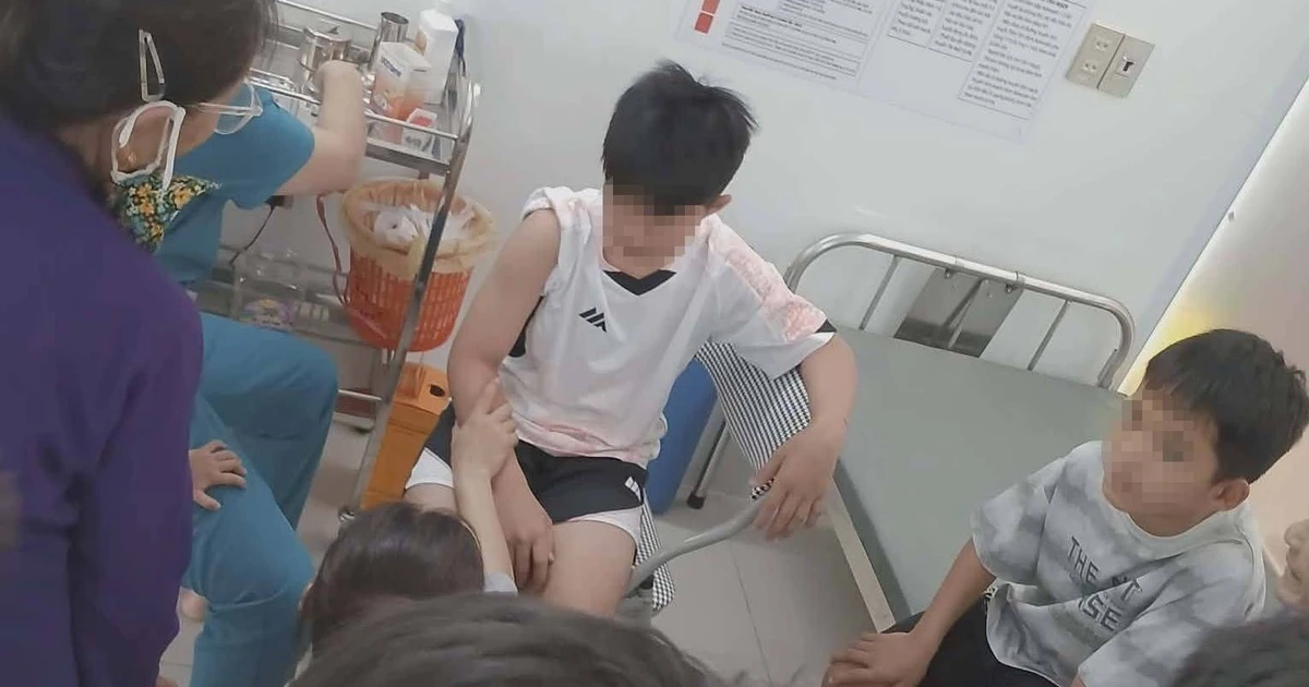 Chó 'điên cuồng' lao vào cắn xé 6 người đi đường