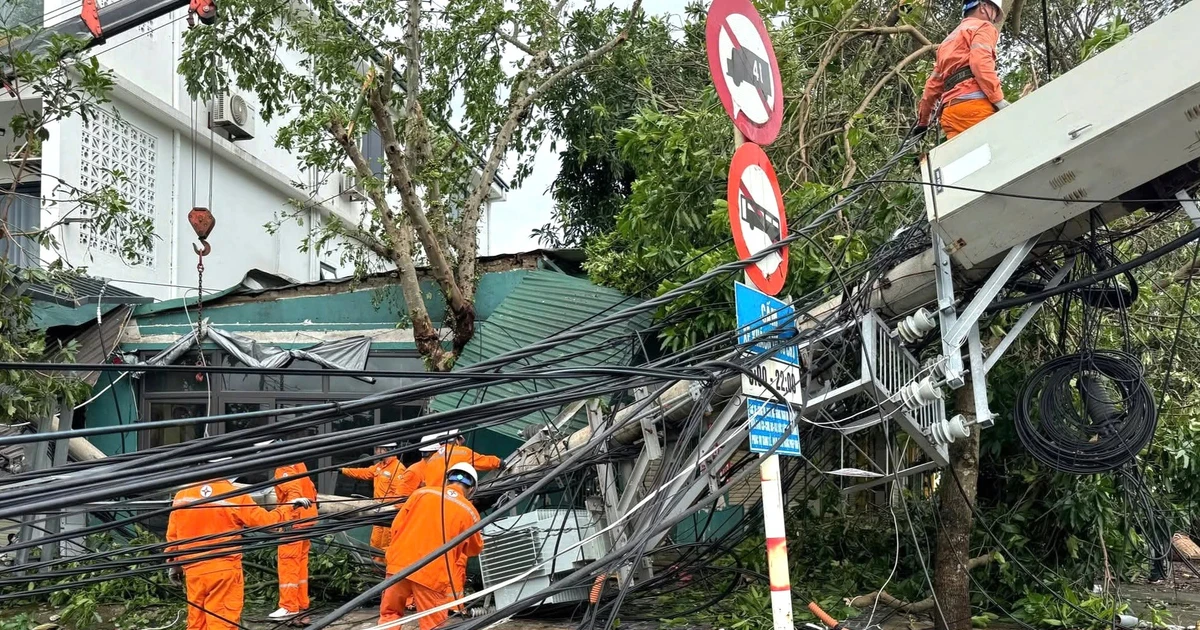 Lưới điện ở Nghệ An thiệt hại nặng nề sau bão số 10