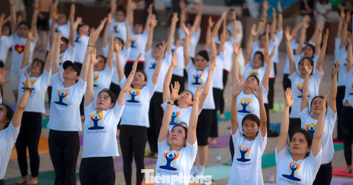 Hơn 1.500 người đồng diễn trong Ngày Quốc tế Yoga 2026