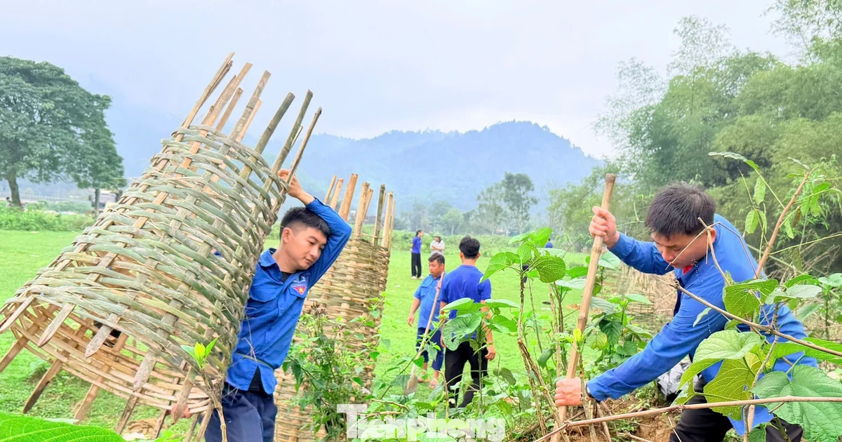 Tuổi trẻ Nghệ An trồng hàng nghìn cây xanh đầu xuân