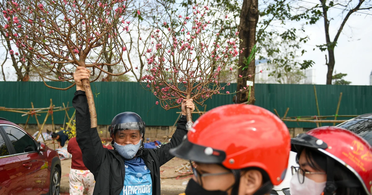 Chiều cuối năm ở chợ hoa Xuân: Vội vã giữa lòng Thủ đô