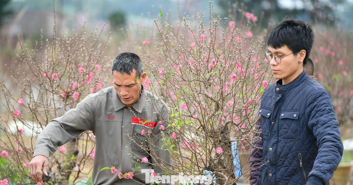 Đào Nhật Tân 'vượt khó' đón Tết Bính Ngọ