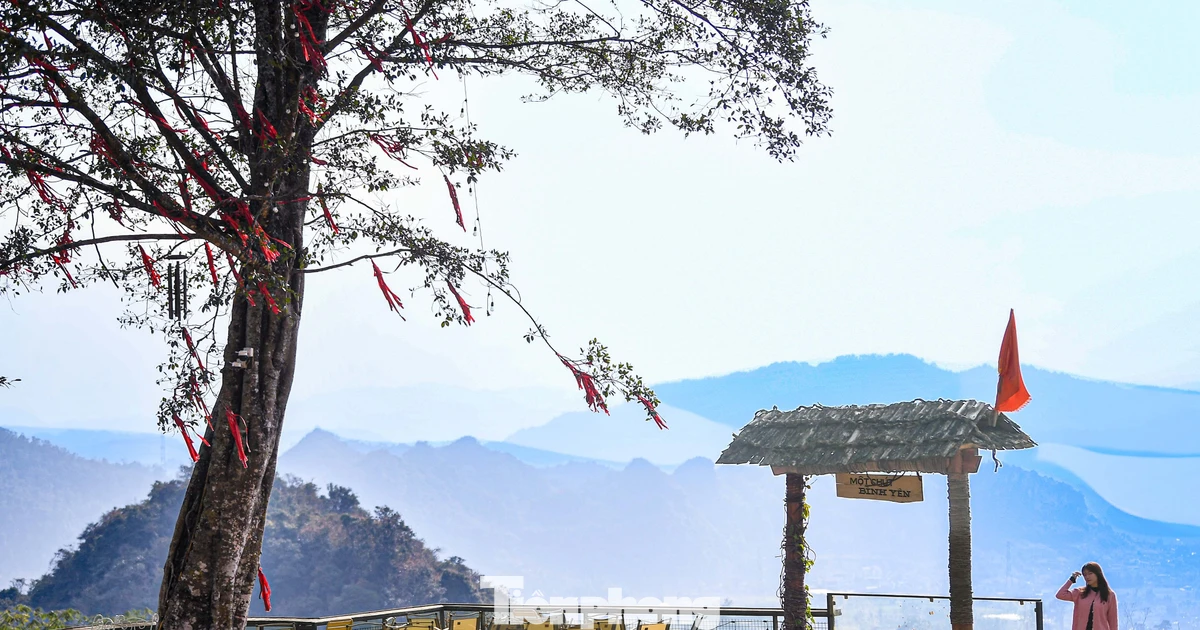 Cảnh tượng 'độc nhất vô nhị' ở điểm check-in cao nhất Mộc Châu