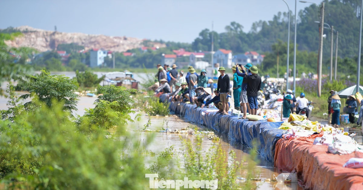 Căng mình giữ đê Đẩu Hàn giữa mưa lũ ở Bắc Ninh