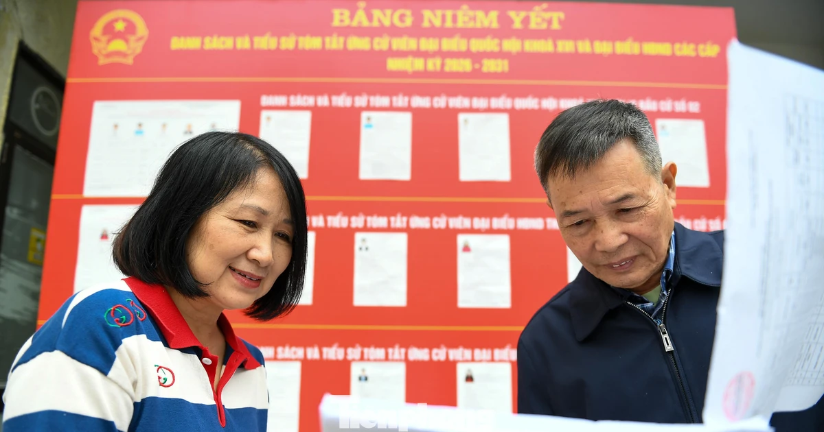 Cử tri Hà Nội nghiên cứu chương trình hành động của các ứng cử viên