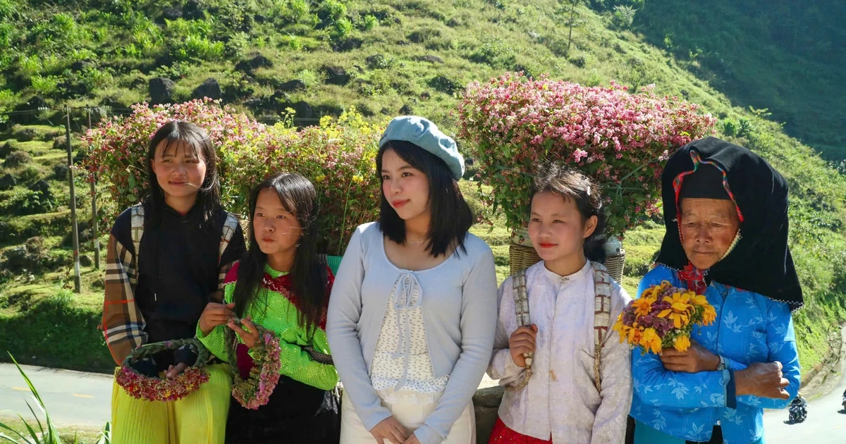 Gen Z rủ nhau lên núi săn mây, ngắm hoa tam giác mạch