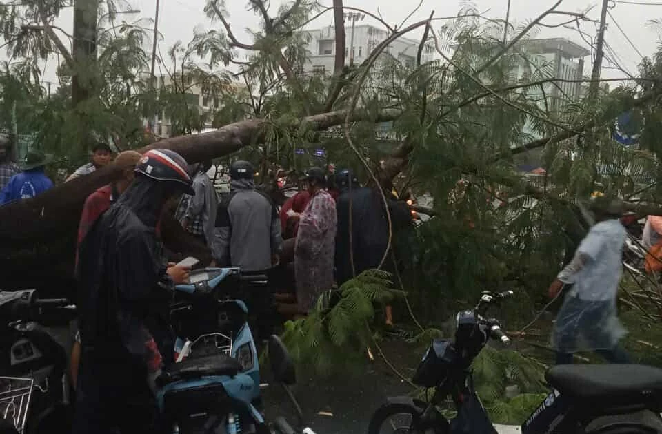 Cây phượng cổ thụ bật gốc đổ trúng 2 vợ chồng đi xe máy