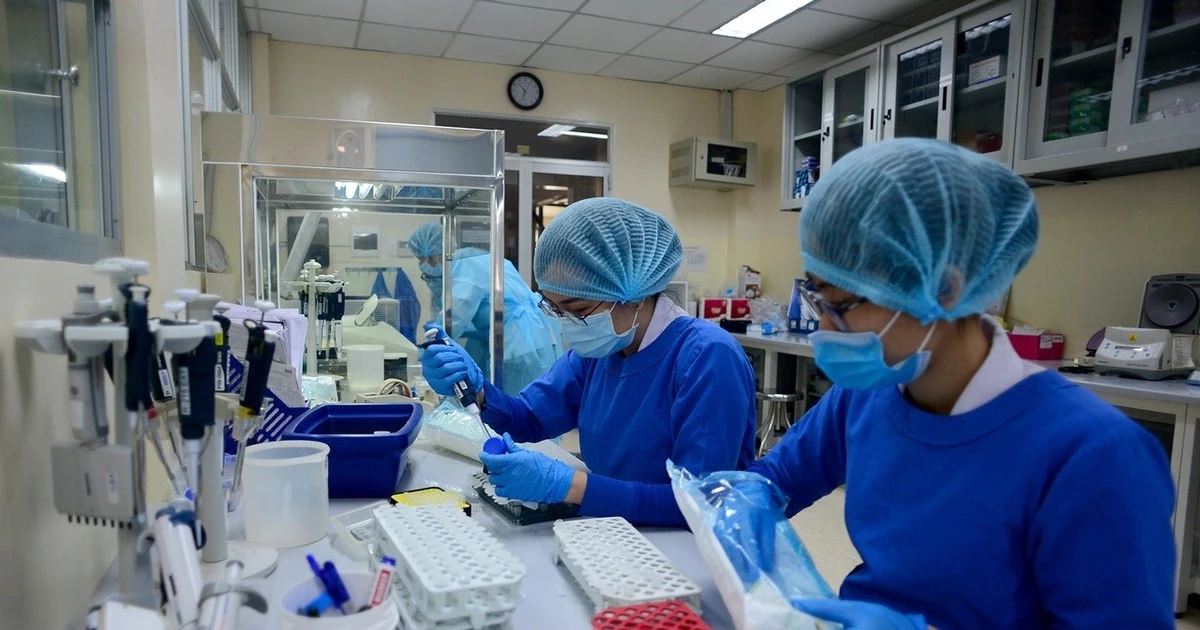 TPHCM lấy mẫu tầm soát virus Nipah trên bệnh nhân viêm não