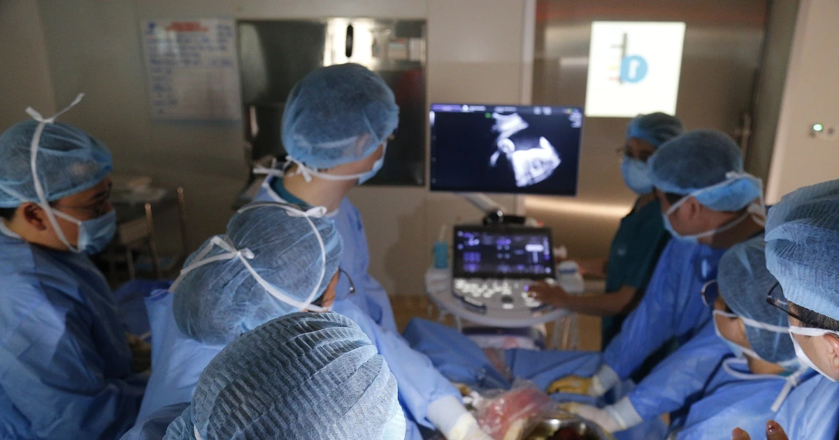 Cứu sống bào thai dị tật tim rất nặng ngay trong bụng mẹ