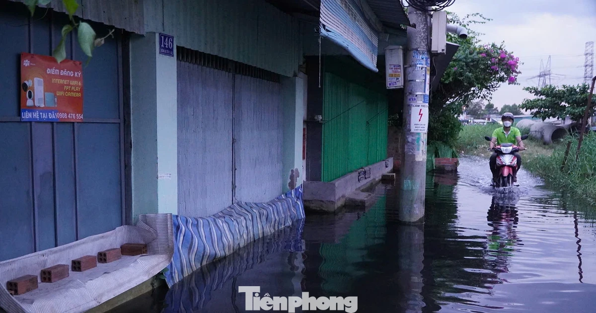 Người dân dựng tấm chắn, đắp bao cát chống triều cường ở TPHCM