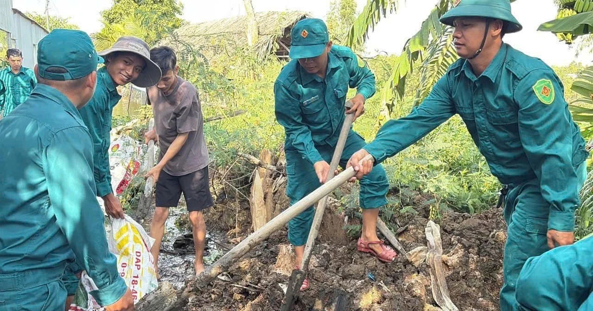 Tây Ninh ‘chạy đua’ với lũ và triều cường bảo vệ hàng nghìn hecta lúa, cây ăn trái