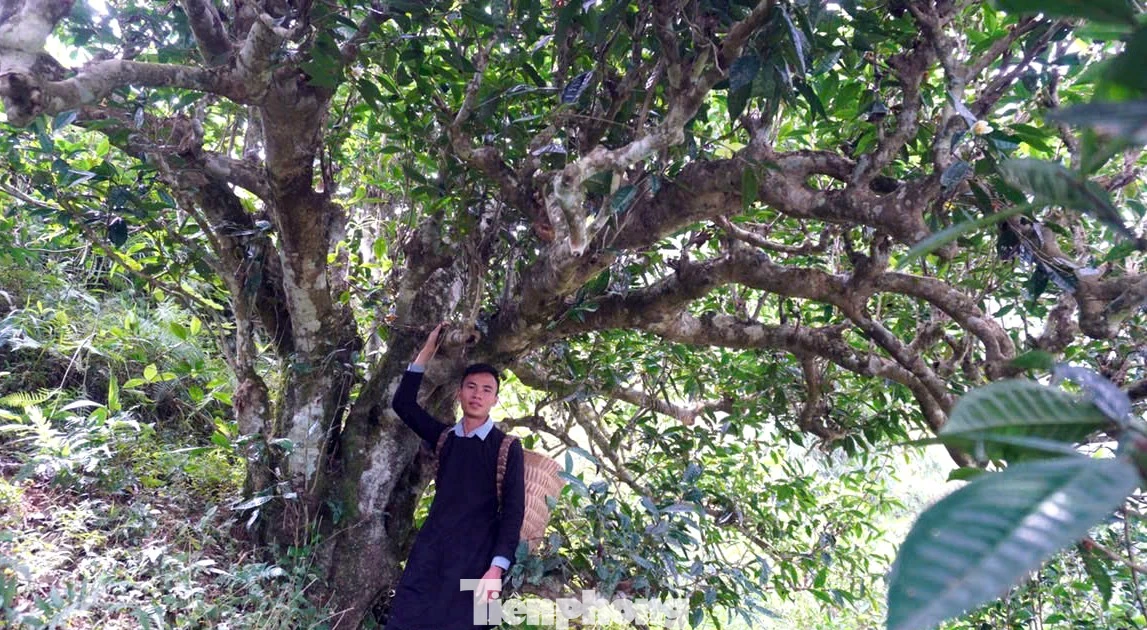 Bí thư chi bộ Gen Z muốn khách hàng 'nhấp một ngụm trà, thấy cả một không gian văn hóa'