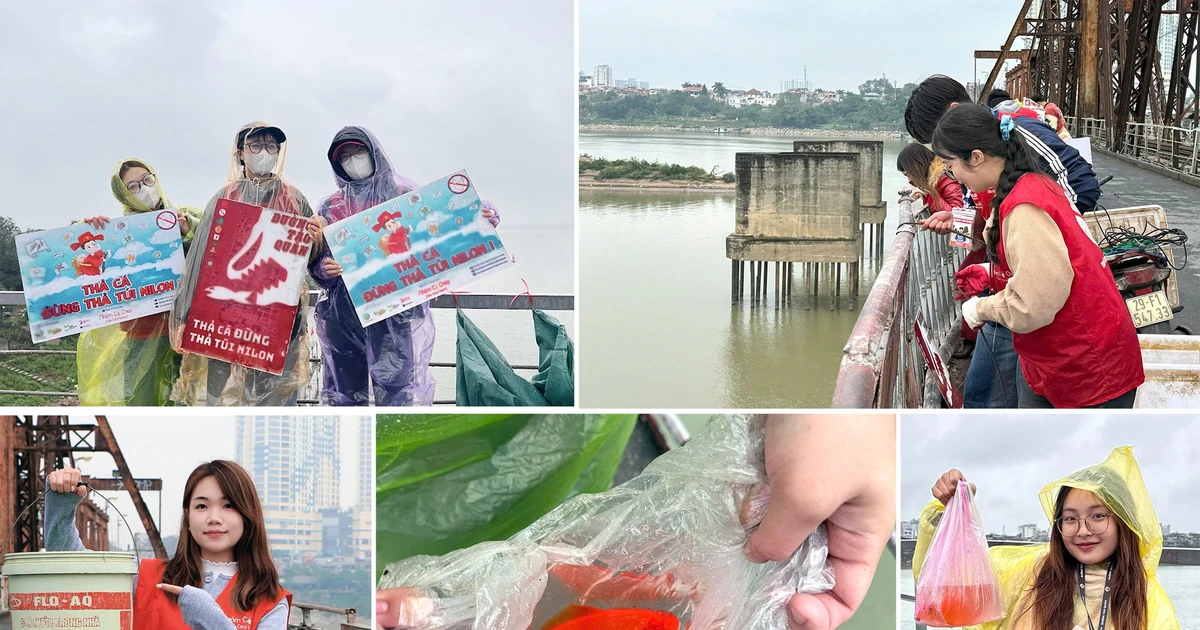 Gen Z làm 'Đường Táo Quân' gìn giữ Tết xưa