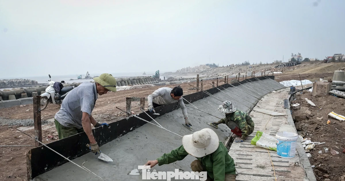 Chạy nước rút dự án 500 tỷ xử lý sạt lở đê biển ở Ninh Bình