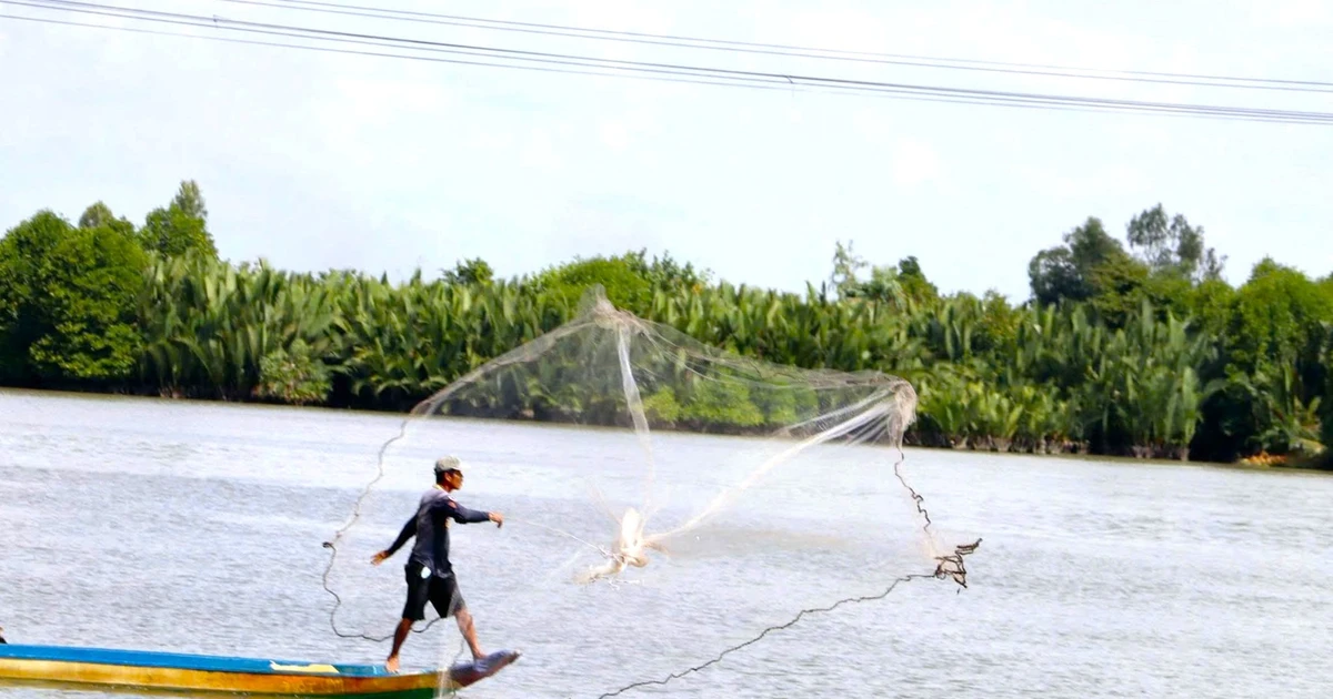 Cà Mau làm giàu từ đầm nước lớn nhất miền Tây kết hợp bảo vệ môi trường sinh thái