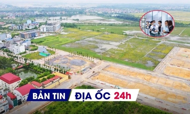 Địa ốc 24H: Đề xuất 2 phương án về quy hoạch, kế hoạch sử dụng đất; rà soát, truy thu thuế với môi giới BĐS