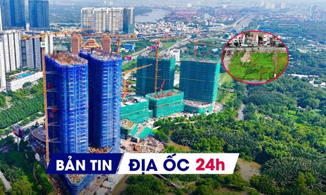 Địa ốc 24H: Thị trường BĐS TP.HCM bước vào sàng lọc; đất đấu giá vùng ven bỏ hoang sau cơn 'sốt'