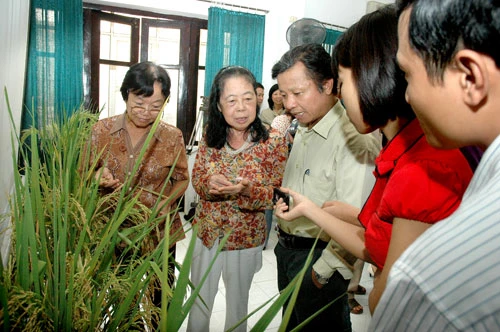 tienphong.vn