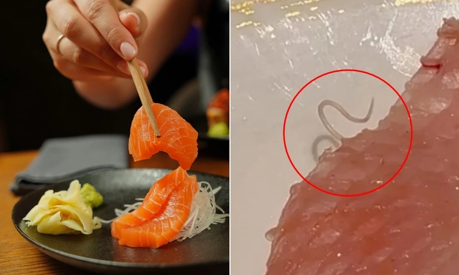 Sinh vật lạ bò ra từ miếng sashimi ở nhà hàng Hong Kong, thực khách hoảng hốt