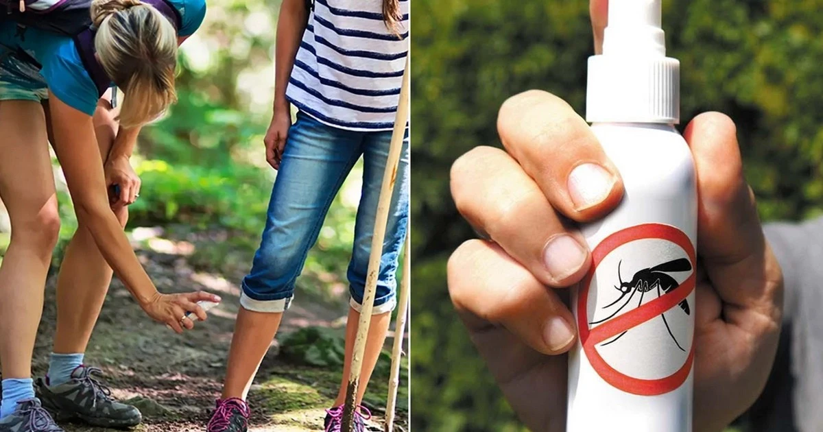 Bôi thuốc chống muỗi lại dễ bị muỗi đốt hơn? Phát hiện mới gây bất ngờ