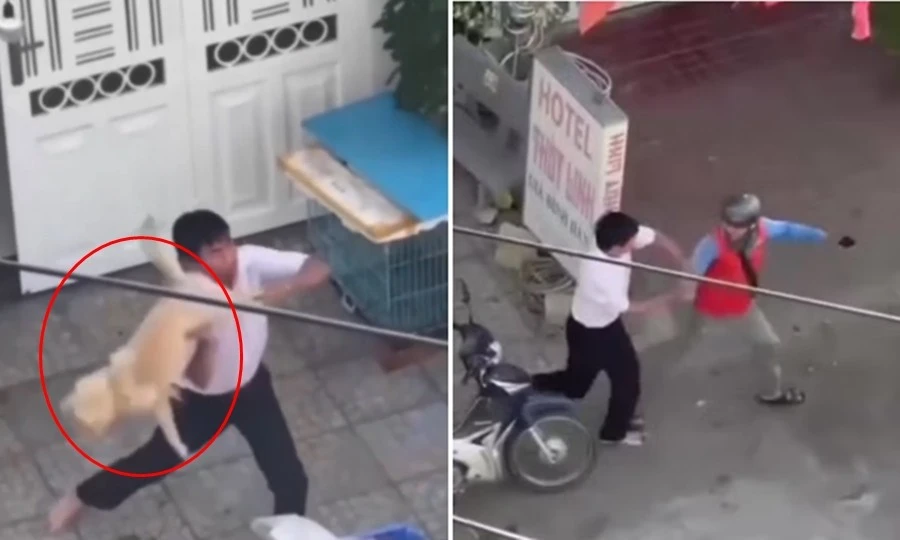 Vụ việc người đàn ông quăng chó vào shipper: Có bị xem là dùng “hung khí”?