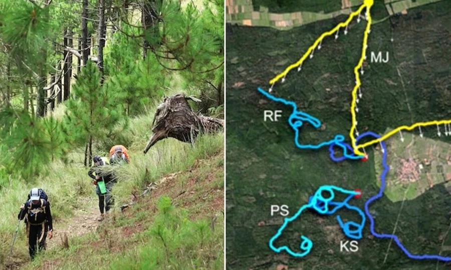 Vì sao người bị lạc khi leo núi, đi rừng cứ đi thành vòng tròn, khó thoát ra?