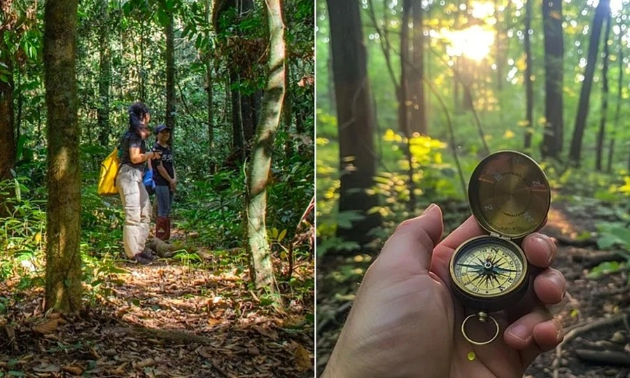Vì sao có hiện tượng la bàn xoay loạn xạ khi đi rừng, leo núi?
