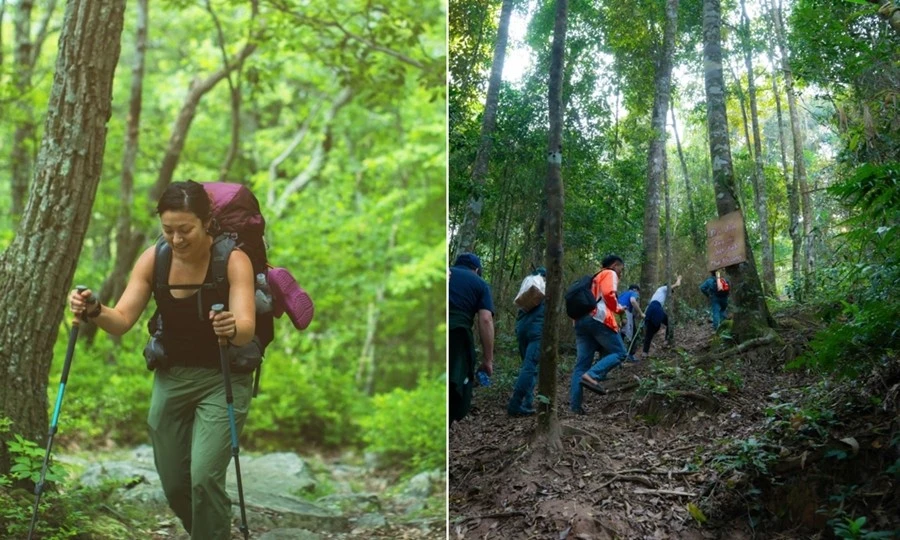 Vì sao không nên trả lời nếu nghe tiếng gọi tên mình lúc leo núi, đi rừng?
