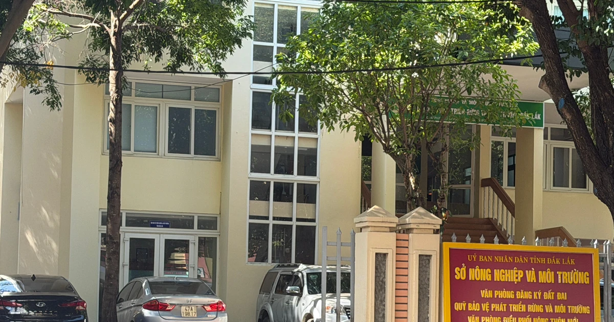 Hé lộ lý do Văn phòng Đăng ký đất đai tuyển mới loạt nhân sự