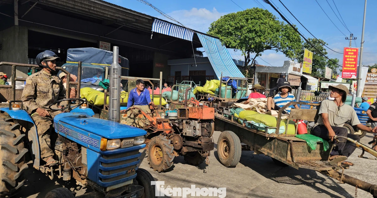 Lý do người dân Đắk Lắk rồng rắn chở cà phê đi bán