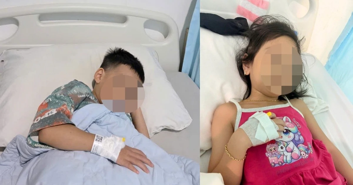 Vụ nhiều học sinh nhập viện ở Đắk Lắk: Nghi vi khuẩn Salmonella từ dụng cụ đựng thực phẩm