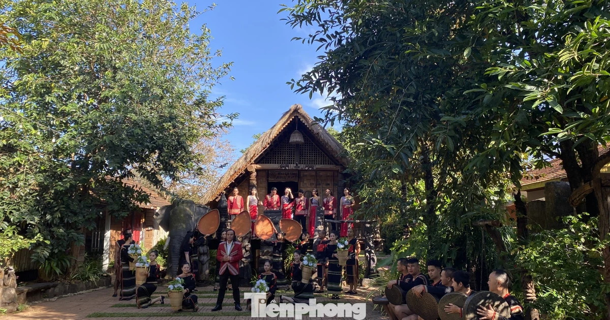 Du khách say với cà phê và 'tiệc' cồng chiêng Ê Đê