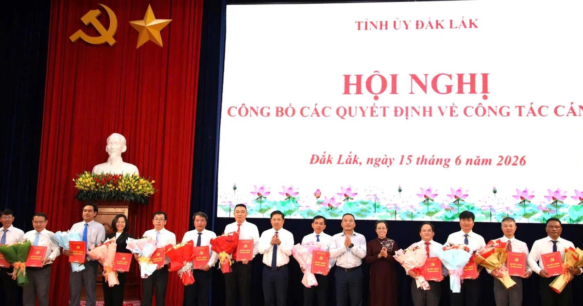 Đắk Lắk tạm dừng công tác cán bộ cấp xã, ngừng tiếp nhận công chức, viên chức ngoài tỉnh