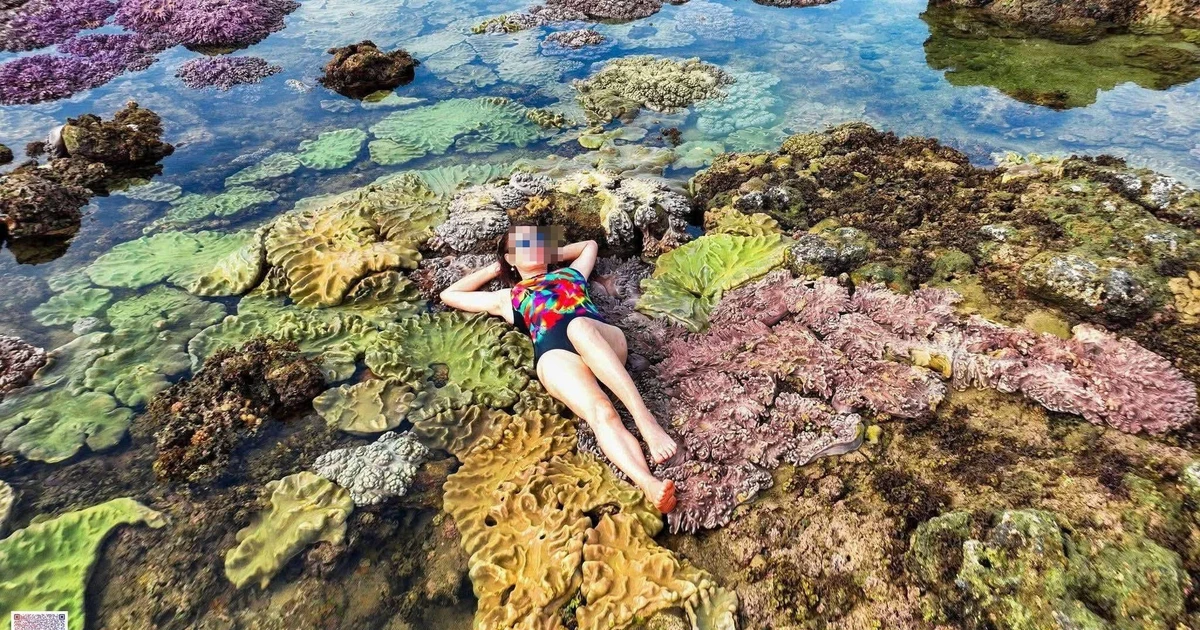 Thực hư việc du khách nằm, ngồi lên san hô để chụp ảnh