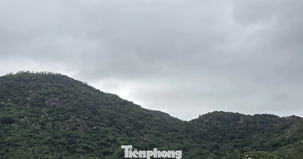 Sức khoẻ của phi công trong vụ rơi máy bay quân sự ở vùng núi Đắk Lắk