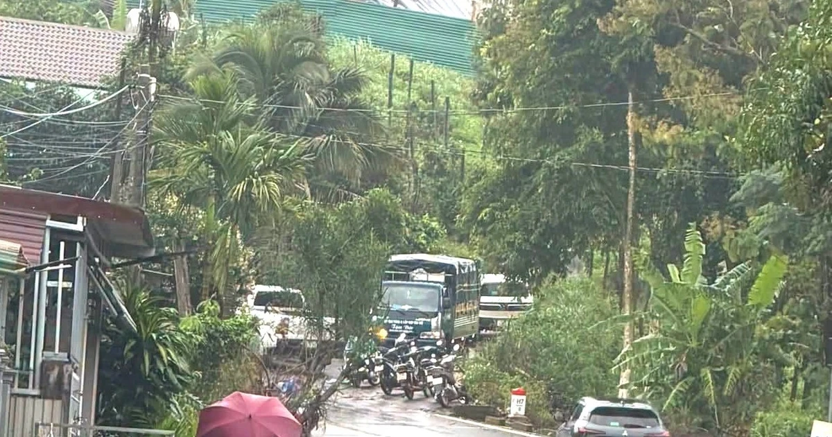 Nữ nhân viên thư viện mất liên lạc sau buổi liên hoan: Phát hiện thi thể ở rẫy cà phê
