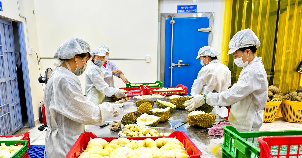 Đắk Lắk bị các 'điểm nghẽn chí mạng' về logistics kìm hãm