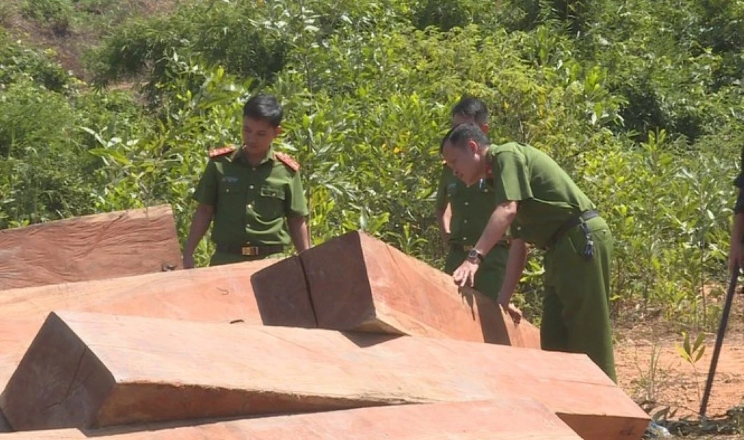 Giám đốc Công ty Lâm nghiệp Ea Kar bị bắt với cáo buộc nhận hối lộ