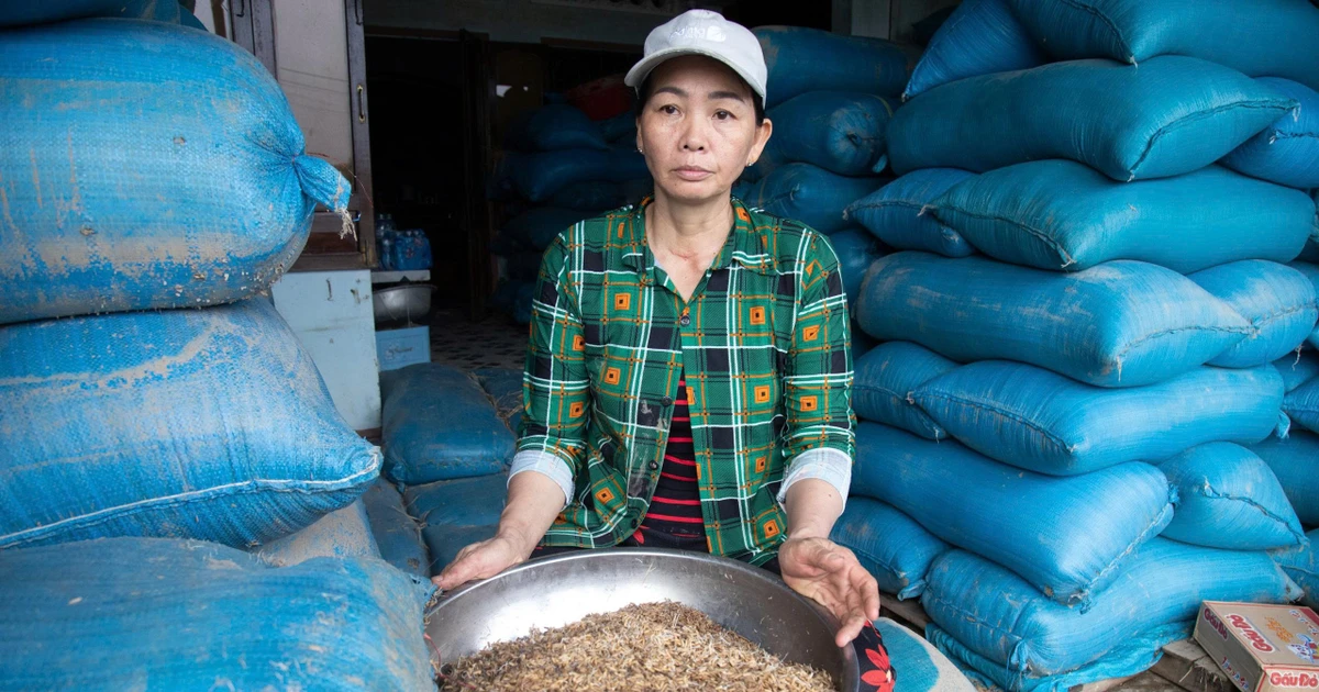 Trắng tay sau lũ lịch sử, người dân Đắk Lắk khôi phục sản xuất, ổn định cuộc sống như nào?