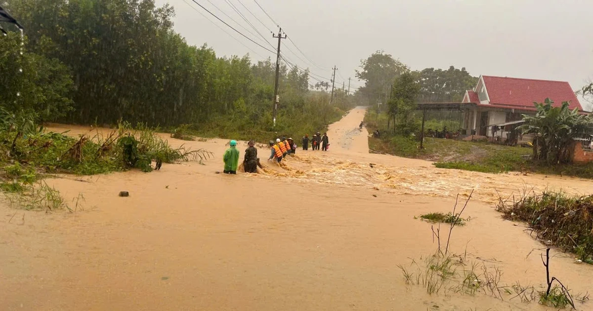 Một người ở Đắk Lắk bị sét đánh tử vong khi cho tôm hùm ăn